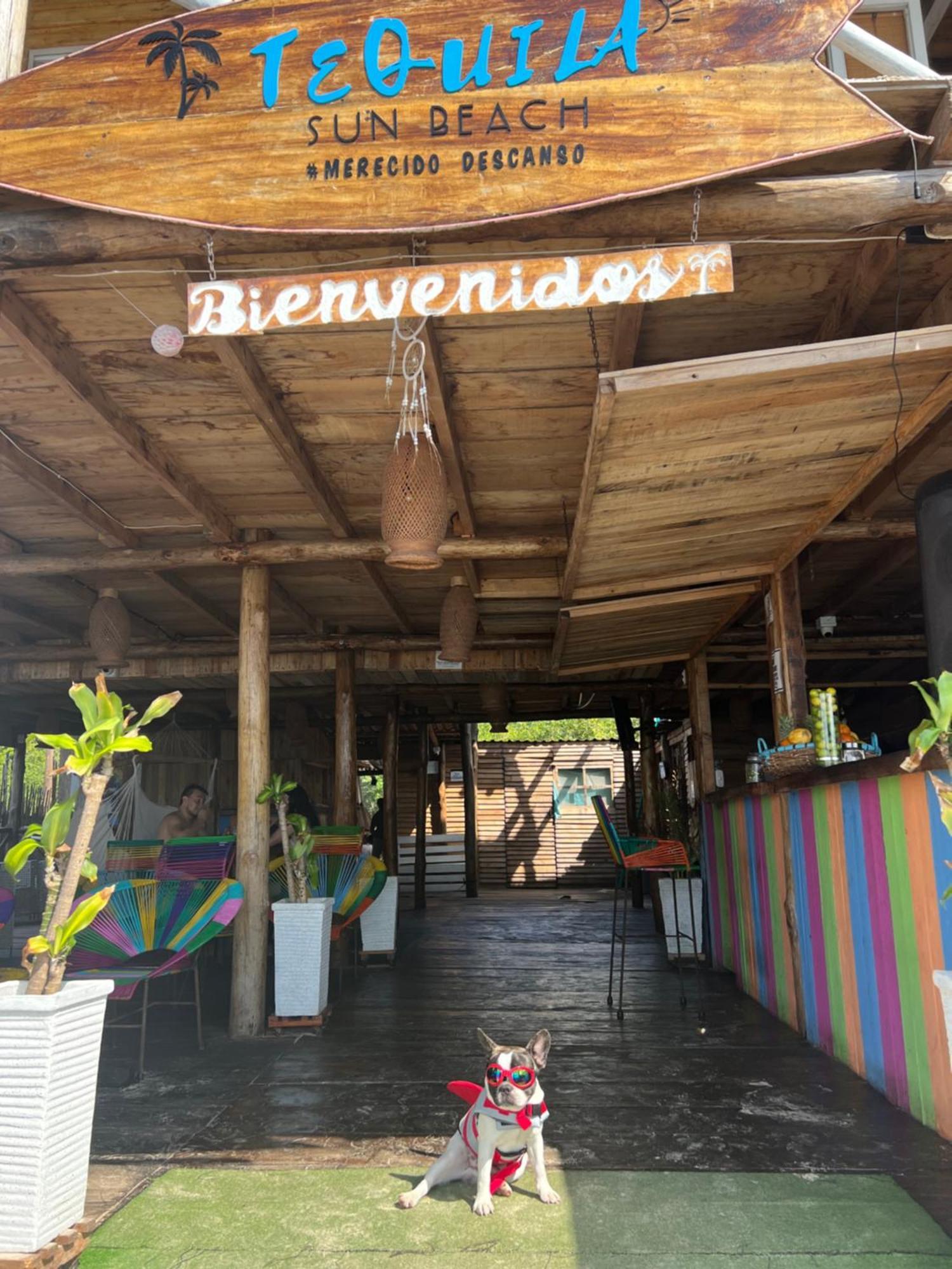 Tequila Sunbeach Baru Eco-Hotel Pendales Extérieur photo